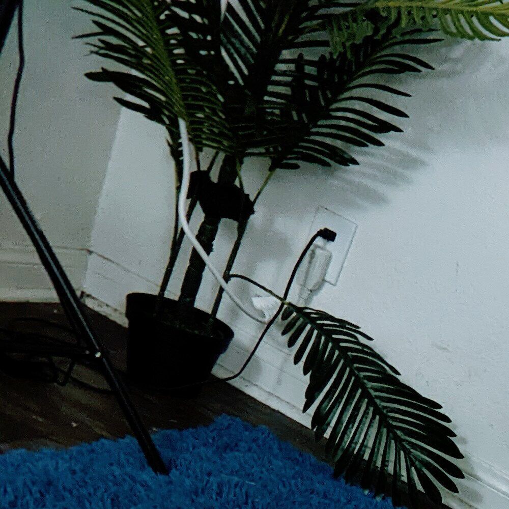 Faphouse