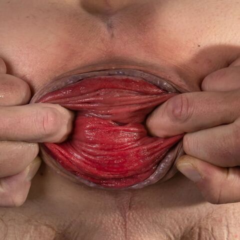 Faphouse