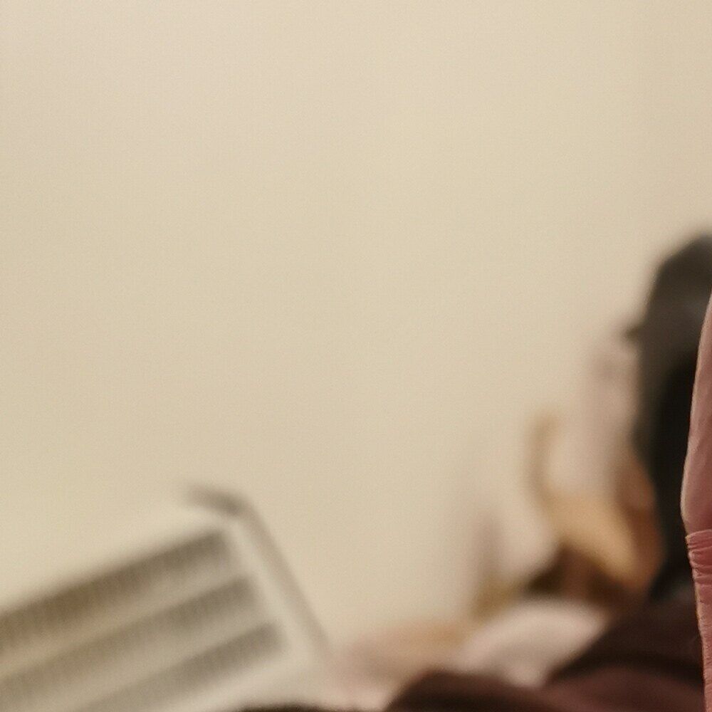 Faphouse
