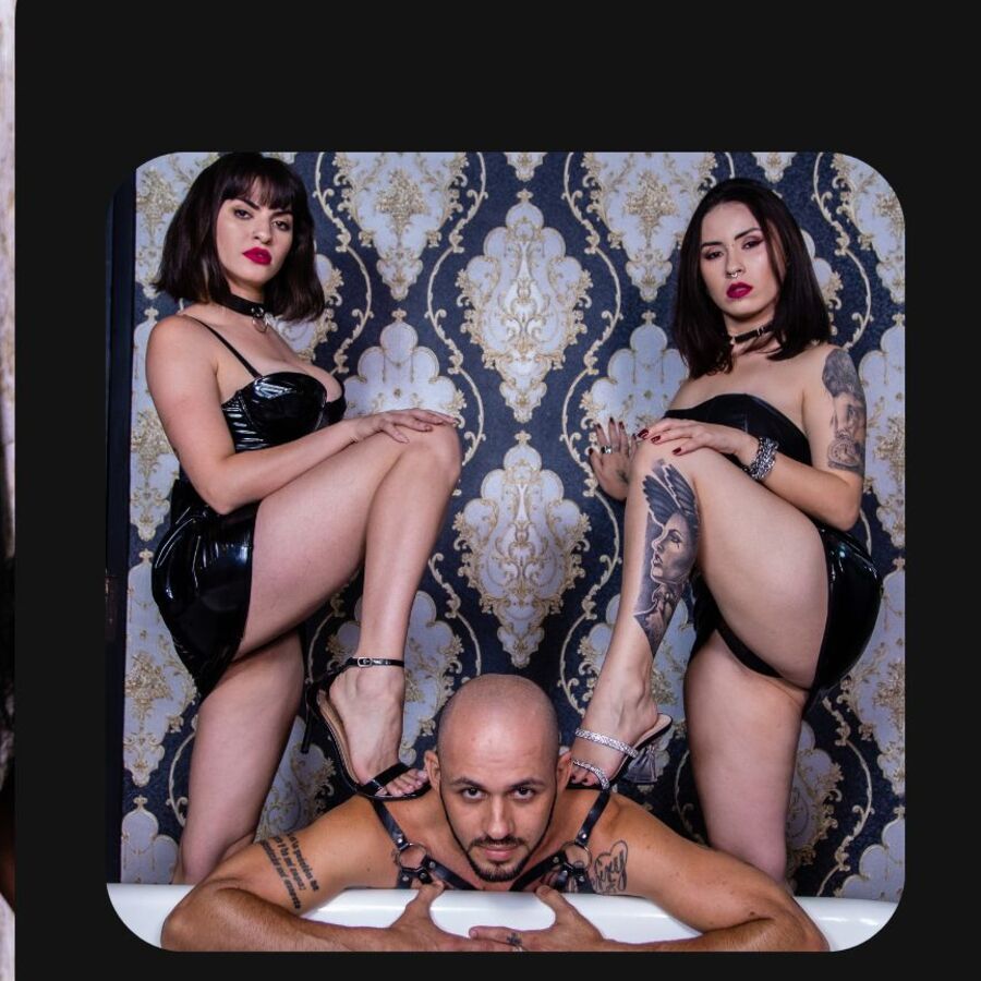 Faphouse