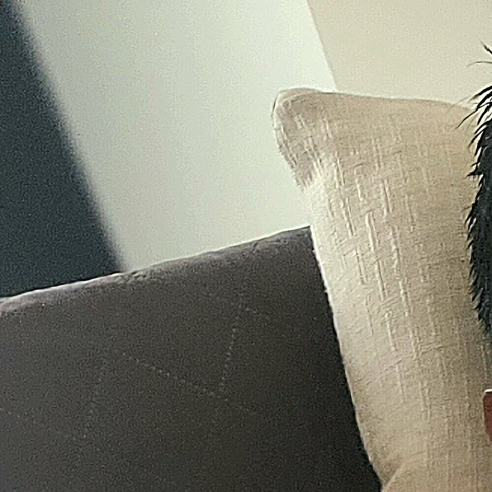 Faphouse