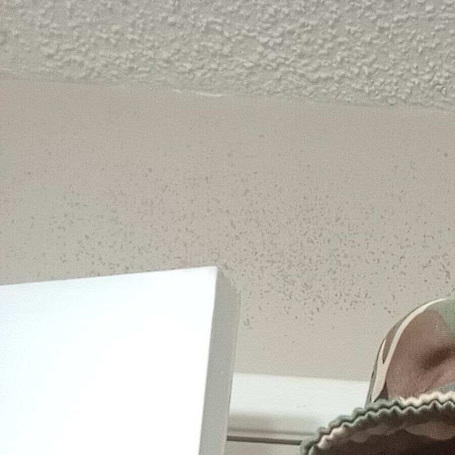 Faphouse